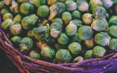 The Only 12 Gut Healing Foods You Really Need for Good Digestive Health